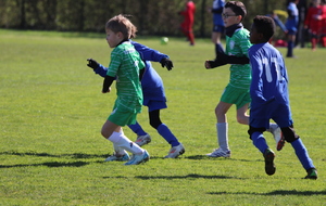 67eacc09dec8a_IMG1154.JPG