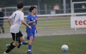 680f858769615_MG2588.JPG