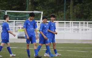 6818c25ebabba_MG3140.JPG