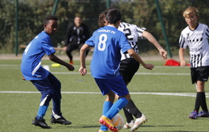 68e3caf64c437_MG8411.JPG