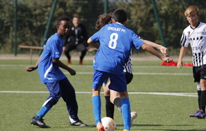 68e3cafa34f38_MG8412.JPG