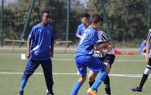 68e3cafde508f_MG8413.JPG