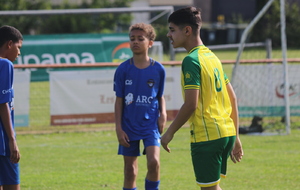 6a1b18420de9c_IMG9699.JPG